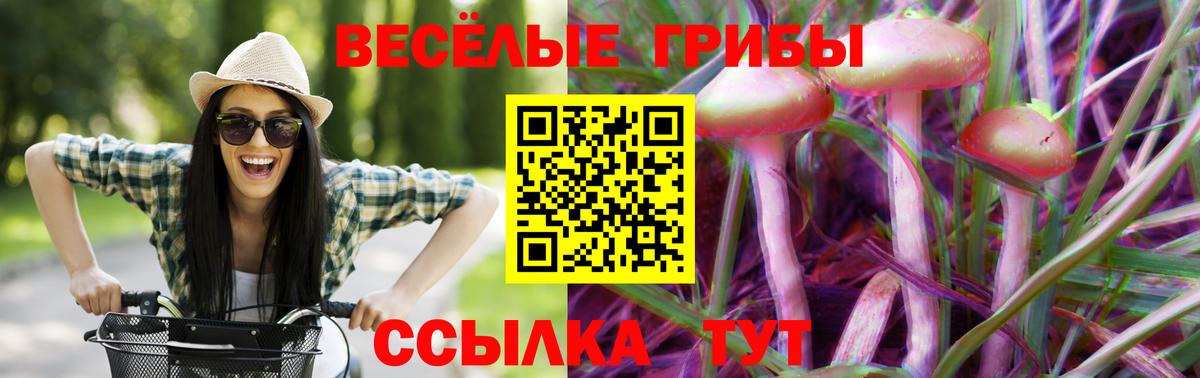 Кондопога  Псилоцибиновые грибы ЛСД  Вход с VPN 