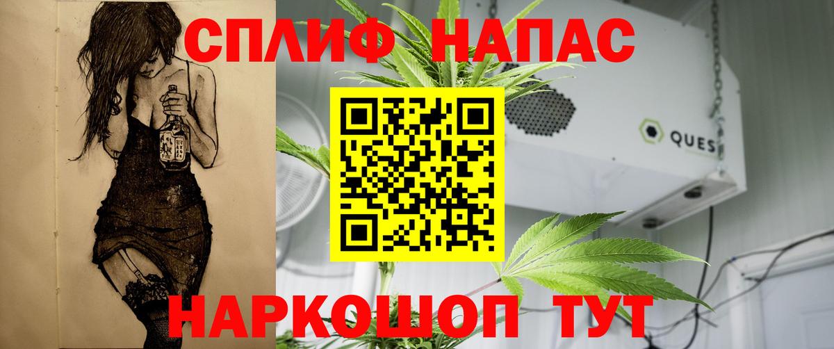 Каннабис планчик Кондопога